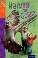 Oxford Reading Tree TreeTops Fiction: Poziom 13: Czekając na Goldie - Oxford Reading Tree TreeTops Fiction: Level 13: Waiting for Goldie