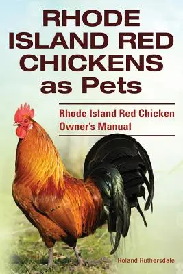 Kurczaki Rhode Island Red jako zwierzęta domowe. Podręcznik właściciela kurczaków Rhode Island Red. - Rhode Island Red Chickens as Pets. Rhode Island Red Chicken Owner's Manual