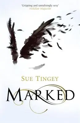 Marked: The Soulseer Chronicles Book 1