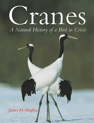 Żurawie: Historia naturalna ptaków w czasach kryzysu - Cranes: A Natural History of a Bird in Crisis