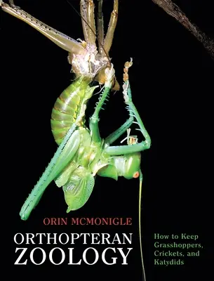 Zoologia prostoskrzydłych: jak hodować koniki polne, świerszcze i katydydy - Orthopteran Zoology: How to Keep Grasshoppers, Crickets, and Katydids