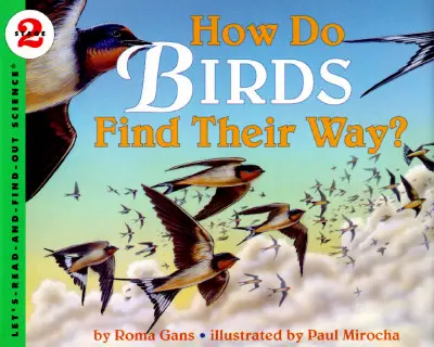 Jak ptaki odnajdują drogę? - How Do Birds Find Their Way?