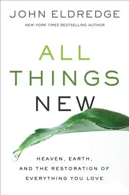 Wszystko nowe: niebo, ziemia i przywrócenie wszystkiego, co kochasz - All Things New: Heaven, Earth, and the Restoration of Everything You Love