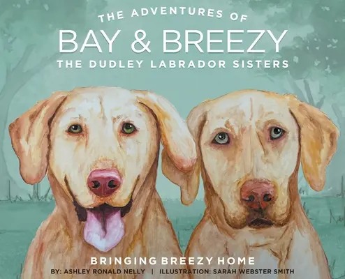 Sprowadzając Breezy do domu: Siostry Dudley Labrador - Bringing Breezy Home: The Dudley Labrador Sisters