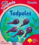 Oxford Reading Tree Songbirds Phonics: Poziom 4: Kijanki - Oxford Reading Tree Songbirds Phonics: Level 4: Tadpoles