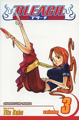 Bleach, tom 3 - Bleach, Volume 3