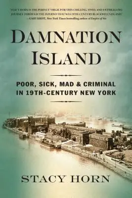 Wyspa potępienia: Biedni, chorzy, szaleni i przestępcy w XIX-wiecznym Nowym Jorku - Damnation Island: Poor, Sick, Mad, and Criminal in 19th-Century New York