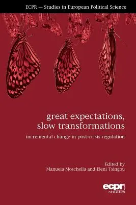 Wielkie oczekiwania, powolne transformacje: Przyrostowe zmiany w regulacjach pokryzysowych - Great Expectations, Slow Transformations: Incremental Change in Post-Crisis Regulation