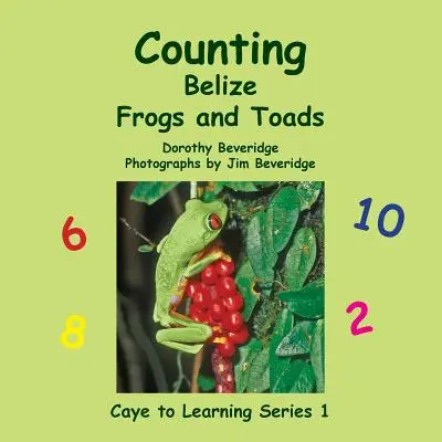 Liczenie żab i ropuch w Belize - Counting Belize Frogs and Toads