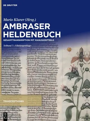 , Nibelungenklage - , Nibelungenklage'