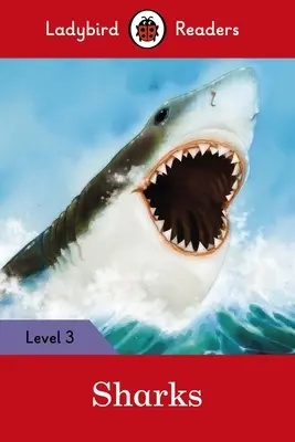 Rekiny - Ladybird Readers Poziom 3 - Sharks - Ladybird Readers Level 3