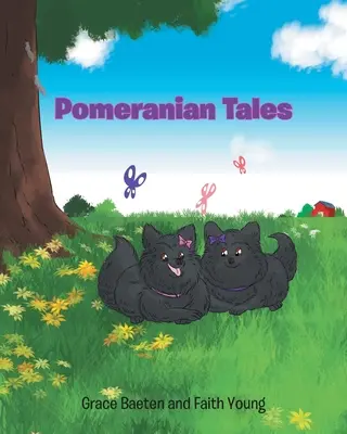Pomorskie opowieści - Pomeranian Tales