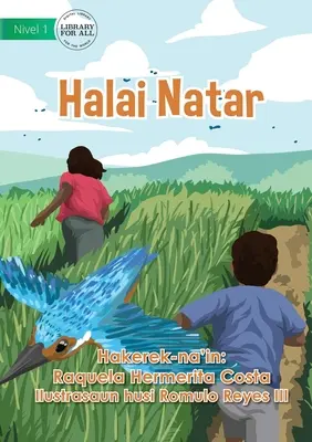 Uprawa ryżu - Halai Natar - Rice Cultivation - Halai Natar