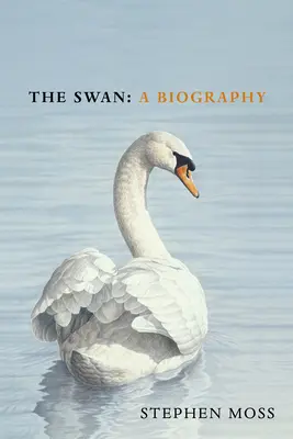 Łabędź - The Swan