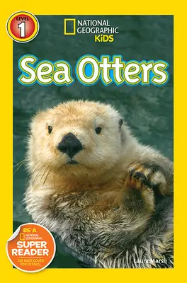 Wydry morskie - Sea Otters