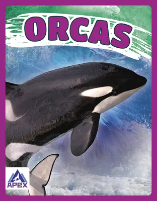 Orki - Orcas