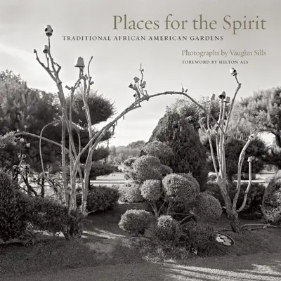 Miejsca dla ducha: Tradycyjne afroamerykańskie ogrody - Places for the Spirit: Traditional African American Gardens