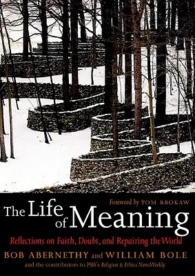 Życie sensu: Refleksje na temat wiary, wątpliwości i naprawy świata - The Life of Meaning: Reflections on Faith, Doubt, and Repairing the World