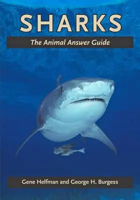 Rekiny: Przewodnik po zwierzętach - Sharks: The Animal Answer Guide