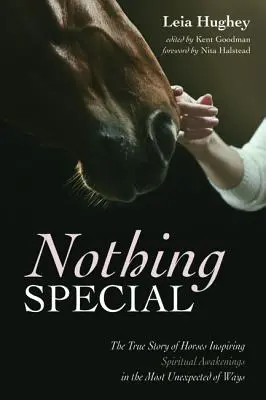 Nic specjalnego: Prawdziwa historia koni inspirujących duchowe przebudzenia w najbardziej nieoczekiwany sposób - Nothing Special: The True Story of Horses Inspiring Spiritual Awakenings in the Most Unexpected of Ways