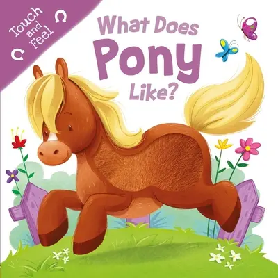 Co lubi kucyk? Touch & Feel Board Book - What Does Pony Like?: Touch & Feel Board Book