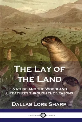 Ukształtowanie terenu: Natura i leśne stworzenia w różnych porach roku - The Lay of the Land: Nature and the Woodland Creatures through the Seasons