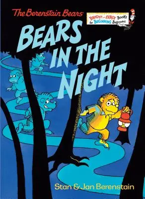 Niedźwiedzie w nocy - Bears in the Night