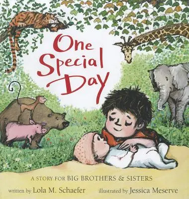 Jeden wyjątkowy dzień: Historia dla starszych braci i sióstr - One Special Day: A Story for Big Brothers and Sisters