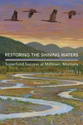 Przywracanie lśniących wód: Sukces Superfund w Milltown w stanie Montana - Restoring the Shining Waters: Superfund Success at Milltown, Montana