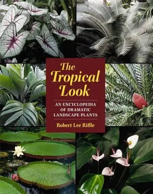 Tropikalny wygląd: Encyklopedia dramatycznych roślin krajobrazowych - The Tropical Look: An Encyclopedia of Dramatic Landscape Plants