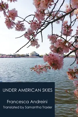 Pod amerykańskim niebem - Under American Skies