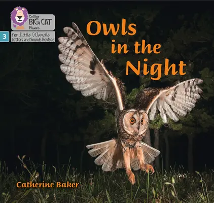 Sowy w nocy - Faza 3 - Owls in the Night - Phase 3