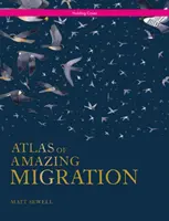 Atlas niesamowitych migracji - Atlas of Amazing Migration