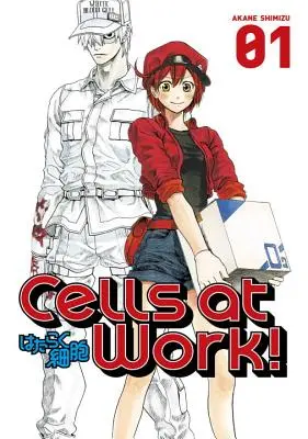 Komórki w pracy!, tom 1 - Cells at Work!, Volume 1
