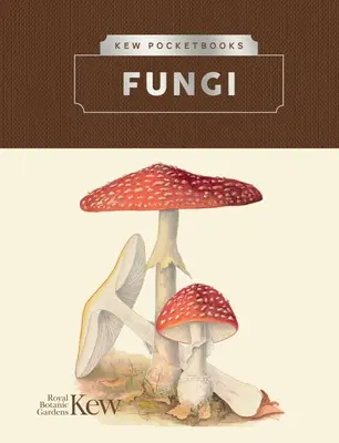 Kieszonkowe książki Kew: Grzyby - Kew Pocketbooks: Fungi