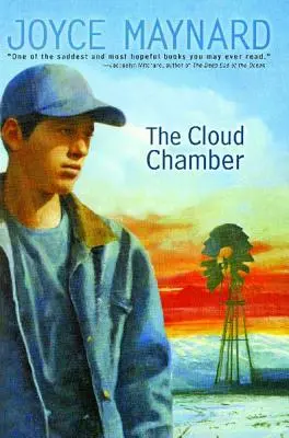 Komora chmur - The Cloud Chamber