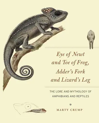 Oko traszki i palec żaby, widelec żmii i noga jaszczurki: wiedza i mitologia płazów i gadów - Eye of Newt and Toe of Frog, Adder's Fork and Lizard's Leg: The Lore and Mythology of Amphibians and Reptiles