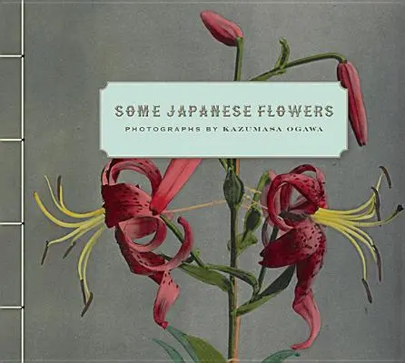 Niektóre japońskie kwiaty - Some Japanese Flowers