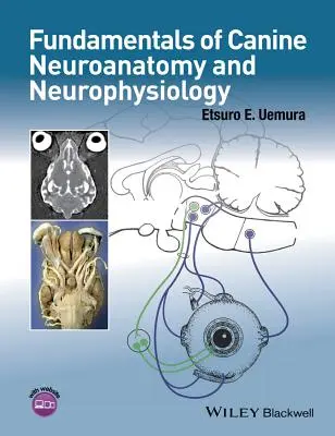 Podstawy neuroanatomii i neurofizjologii psów - Fundamentals of Canine Neuroanatomy and Neurophysiology