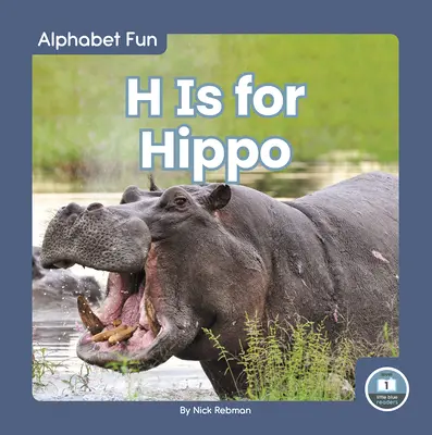 H jak Hipopotam - H Is for Hippo