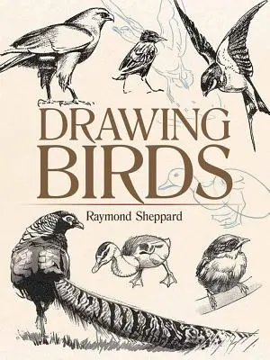 Rysowanie ptaków - Drawing Birds