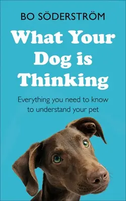 Co myśli twój pies: Wszystko, co musisz wiedzieć, aby zrozumieć swojego zwierzaka - What Your Dog Is Thinking: Everything You Need to Know to Understand Your Pet