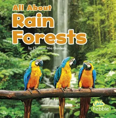 Wszystko o lasach deszczowych - All about Rain Forests