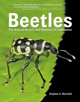 Beetles: Historia naturalna i różnorodność Coleoptera - Beetles: The Natural History and Diversity of Coleoptera