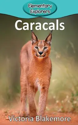 Karakale - Caracals