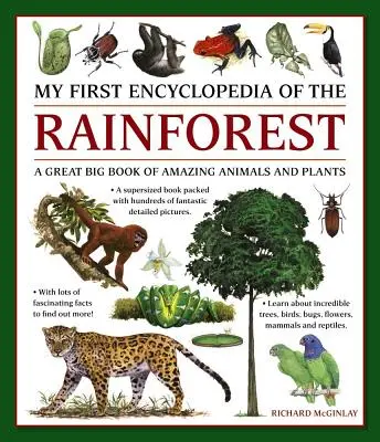 Moja pierwsza encyklopedia lasów deszczowych: Wielka księga niesamowitych zwierząt i roślin - My First Encylopedia of the Rainforest: A Great Big Book of Amazing Animals and Plants