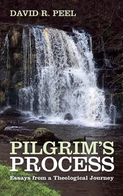 Proces pielgrzyma - Pilgrim's Process