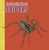 Szybkie fakty o pająkach - Fast Facts About Spiders