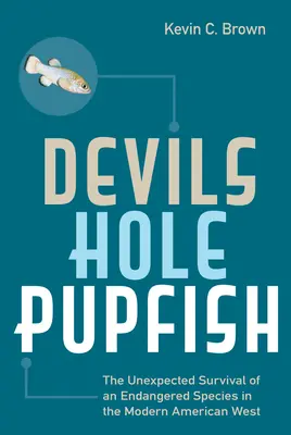 Devils Hole Pupfish: Niespodziewane przetrwanie zagrożonego gatunku na współczesnym amerykańskim Zachodzie - Devils Hole Pupfish: The Unexpected Survival of an Endangered Species in the Modern American West