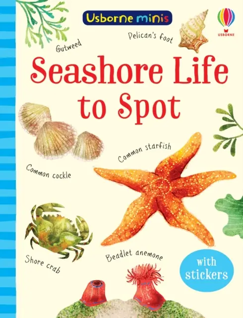 Życie w morzu do odkrycia - Seashore Life to Spot